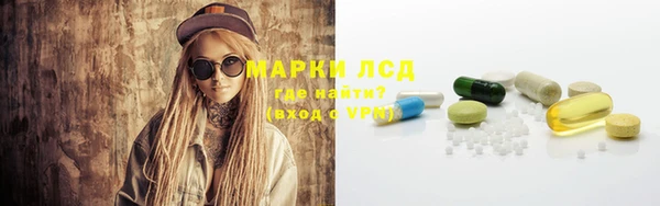 шишки Армянск