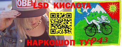 спайс Славгород