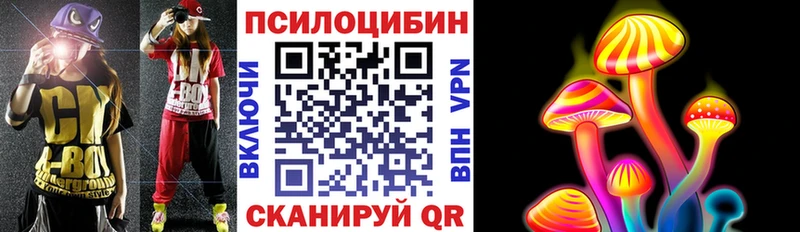 darknet как зайти  Строитель  Псилоцибиновые грибы Magic Shrooms 