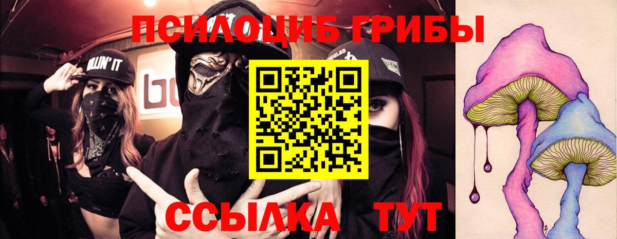 Строитель  Галлюциногенные грибы Psilocybe  Вход с VPN 